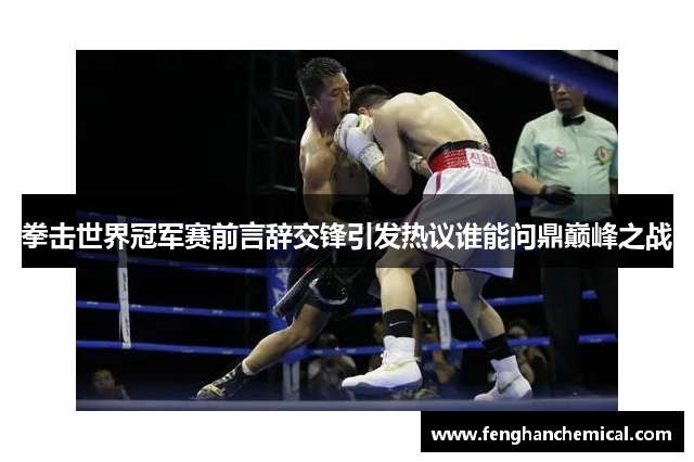 拳击世界冠军赛前言辞交锋引发热议谁能问鼎巅峰之战