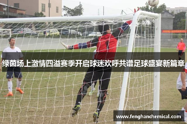 绿茵场上激情四溢赛季开启球迷欢呼共谱足球盛宴新篇章