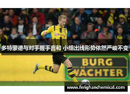 多特蒙德与对手握手言和 小组出线形势依然严峻不变