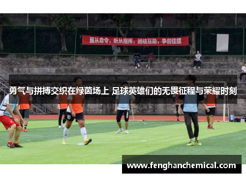 勇气与拼搏交织在绿茵场上 足球英雄们的无畏征程与荣耀时刻