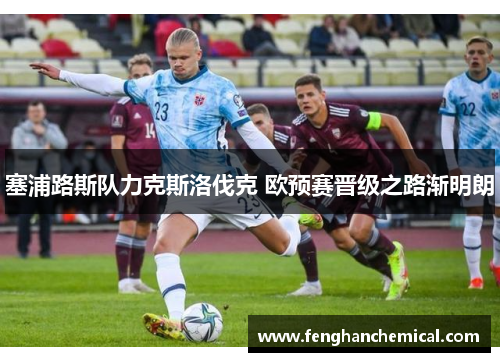 塞浦路斯队力克斯洛伐克 欧预赛晋级之路渐明朗