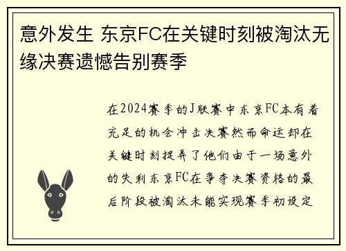 意外发生 东京FC在关键时刻被淘汰无缘决赛遗憾告别赛季