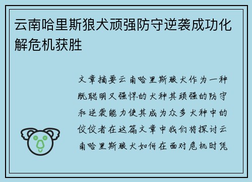 云南哈里斯狼犬顽强防守逆袭成功化解危机获胜