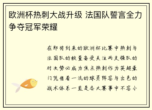 欧洲杯热刺大战升级 法国队誓言全力争夺冠军荣耀